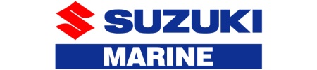suzuki engine